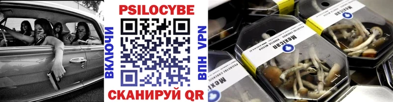 Псилоцибиновые грибы MAGIC MUSHROOMS где найти Ейск